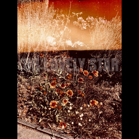 Framed Print * Original Photography - Picture 5 of 14